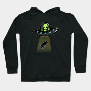 Cat Abduction Hoodie